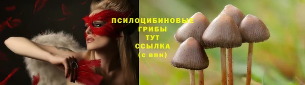 экстази Белокуриха