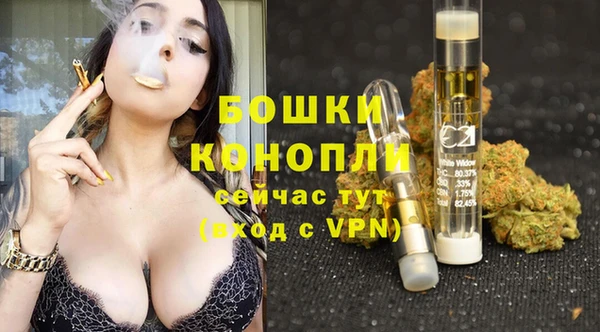 тгк Беломорск