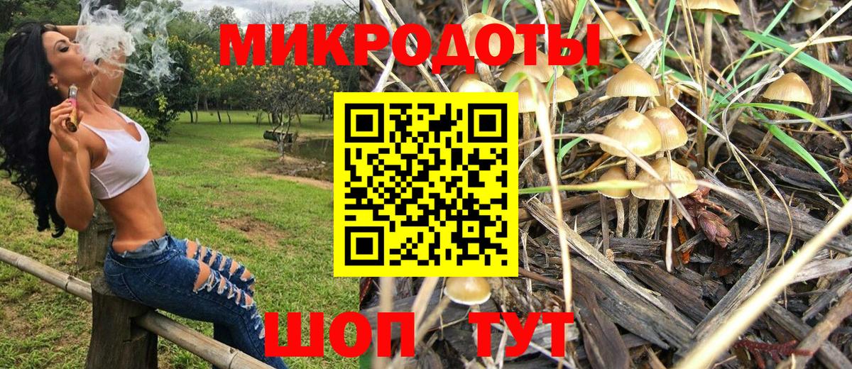 Галлюциногенные грибы Psilocybe  Псилоцибиновые грибы Psilocybine cubensis  Вход с VPN  Белорецк 