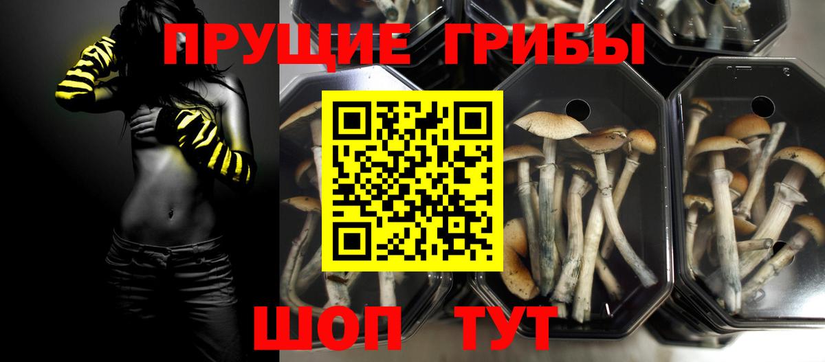 Галлюциногенные грибы ЛСД Белорецк
